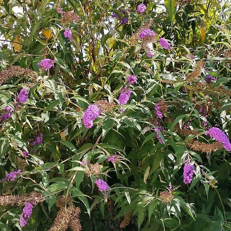 Les De La Planchette Hébergement de vacances Saint-Gervais-les-Trois-Clochers