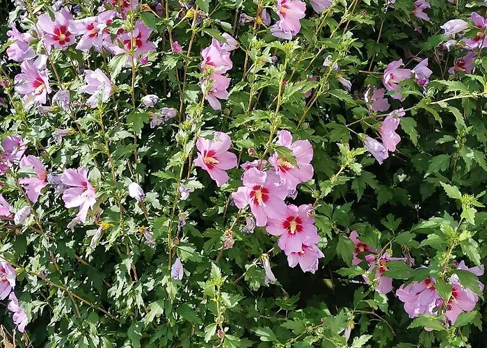 Les De La Planchette بيت للعطل Saint-Gervais-les-Trois-Clochers